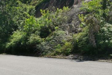 Alor Gajah Agriculture land For Sale!