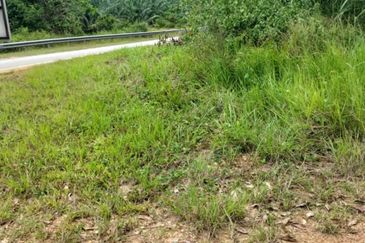 Freehold agri land at Kuala Kangsar Perak for sale!!