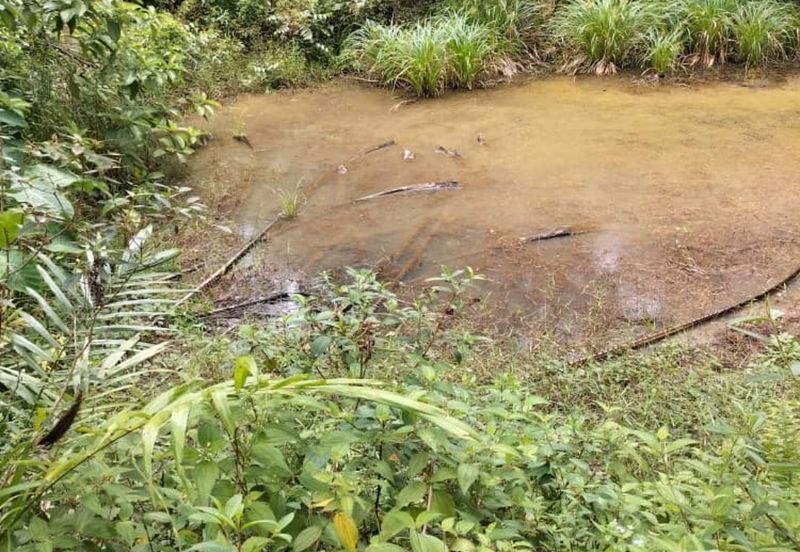 Freehold agri land at Kuala Kangsar Perak for sale!!