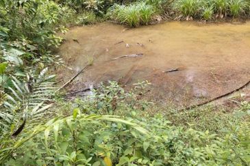 Freehold agri land at Kuala Kangsar Perak for sale!!