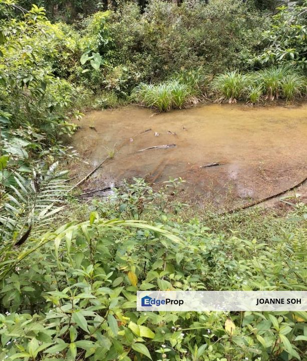 Freehold agri land at Kuala Kangsar Perak for sale!!, Perak, Kuala Kangsar