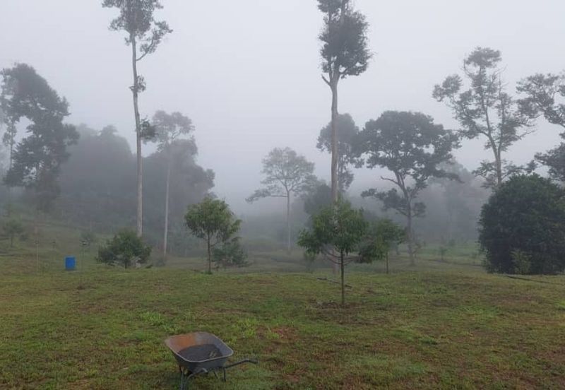 Kuala kangsar facing Highway petrol & EV station for sale 