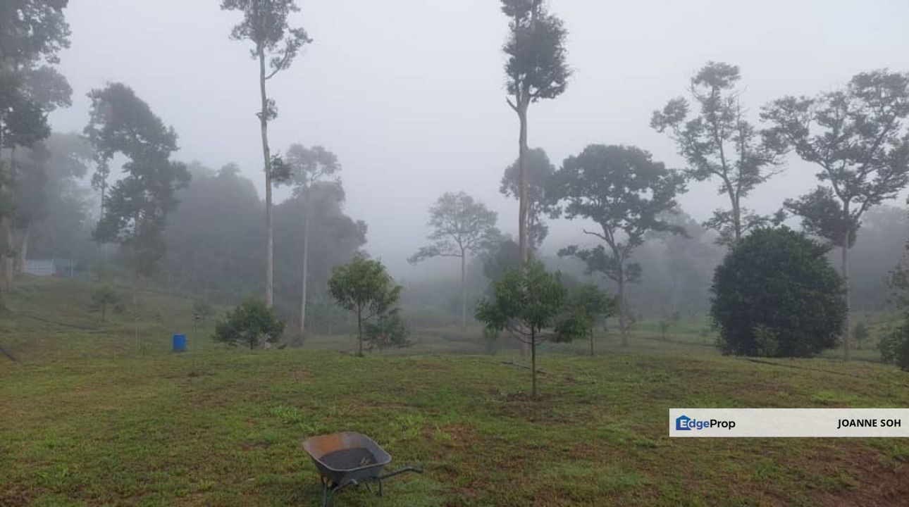 Kuala kangsar facing Highway petrol & EV station for sale , Perak, Kuala Kangsar