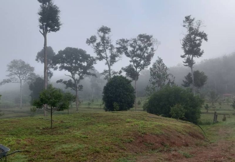 Kuala kangsar facing Highway petrol & EV station for sale 