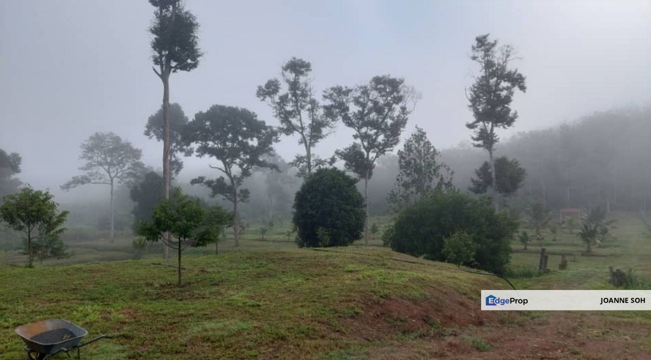 Kuala kangsar facing Highway petrol & EV station for sale , Perak, Kuala Kangsar