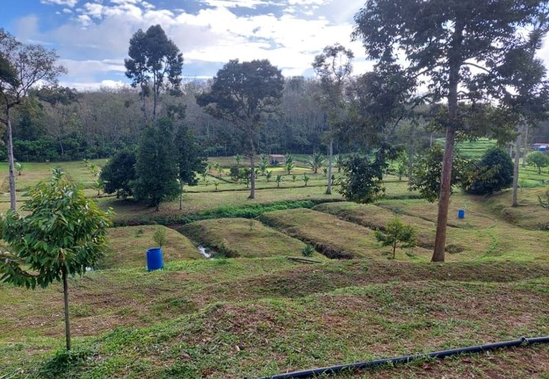 Kuala kangsar facing Highway petrol & EV station for sale 