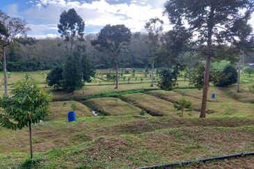 Kuala kangsar facing Highway petrol & EV station for sale 