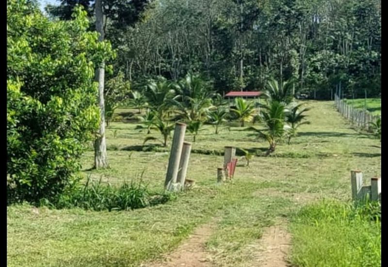 Kuala kangsar facing Highway petrol & EV station for sale 