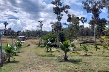 Kuala kangsar facing Highway petrol & EV station for sale 