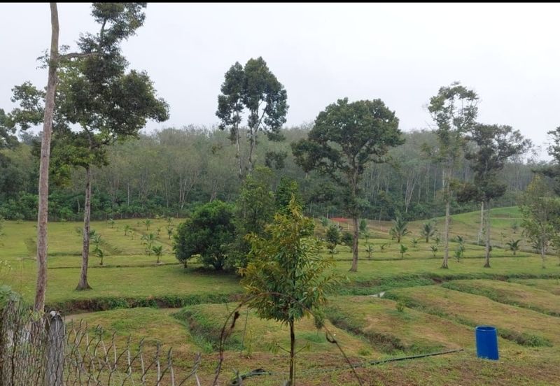 Kuala kangsar facing Highway petrol & EV station for sale 