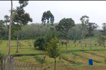 Kuala kangsar facing Highway petrol & EV station for sale 