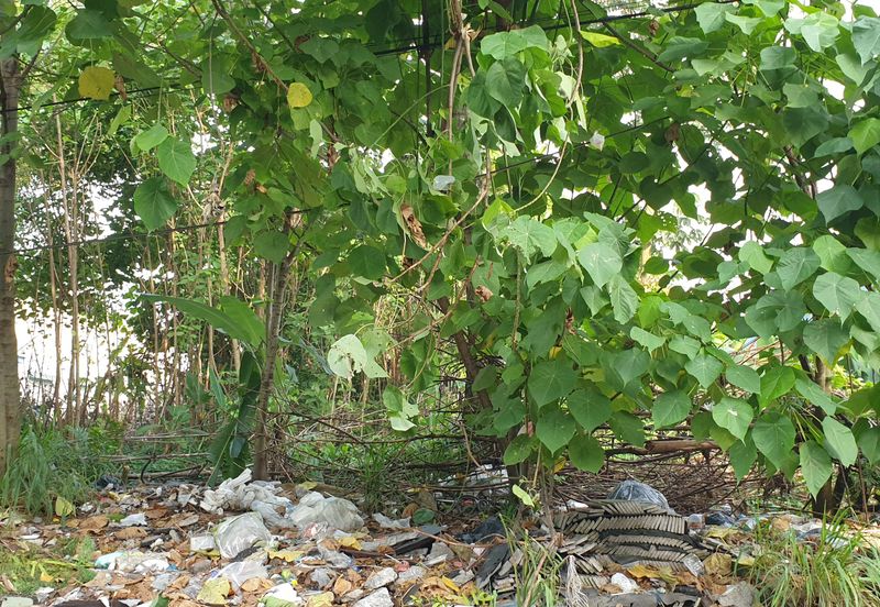 Agriculture in industry zoning at ulu yam serendah freehold for sale