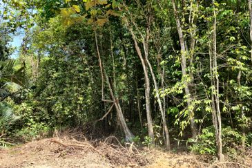 Serendah agriculture land in industrial zoning freehold at serendah for sale