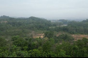Serendah agriculture land in industrial zoning freehold at serendah for sale