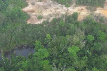 Serendah agriculture land in industrial zoning freehold at serendah for sale