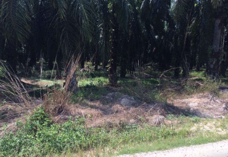 Banting bukit changgang agriculture land in Residencial zoning for sale 