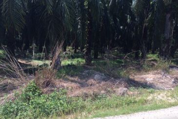 Banting bukit changgang agriculture land in Residencial zoning for sale 