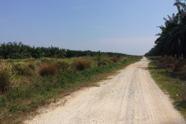 Banting bukit changgang agriculture land in Residencial zoning for sale 