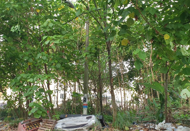 Commercial land at Sungai buluh for sale 