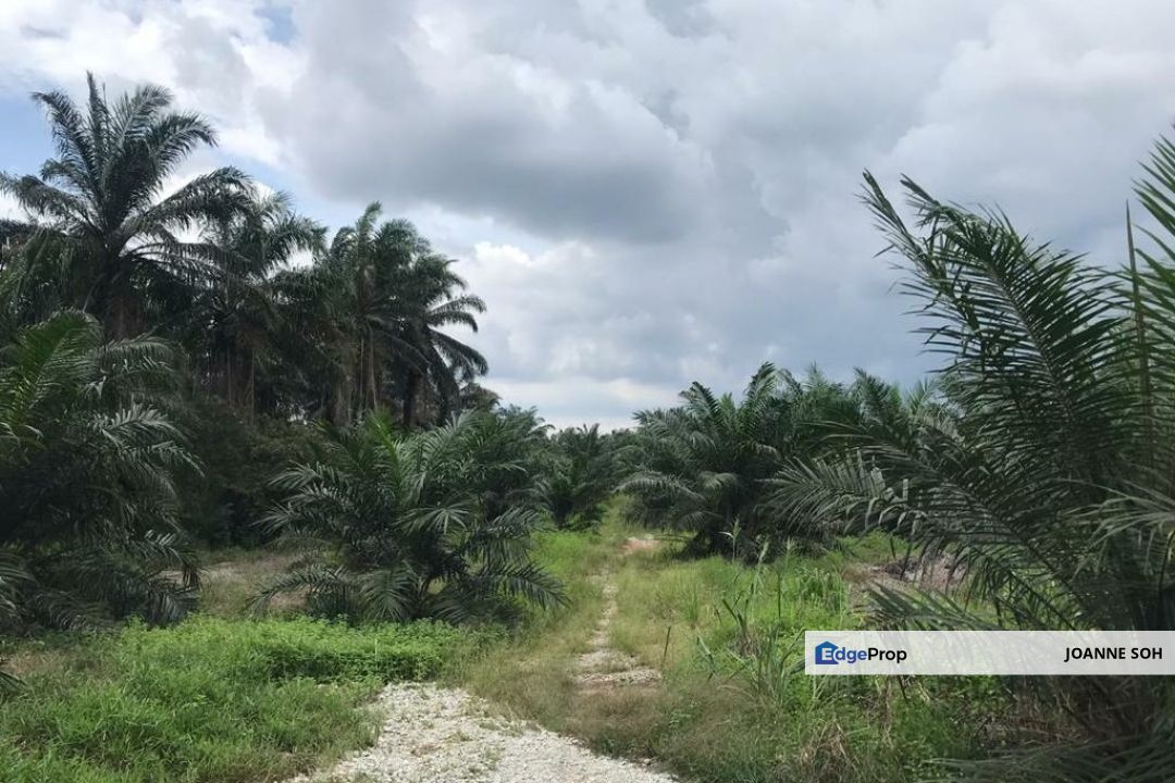 Industrial zoning agri land at Banting For Sale!!, Selangor, Banting