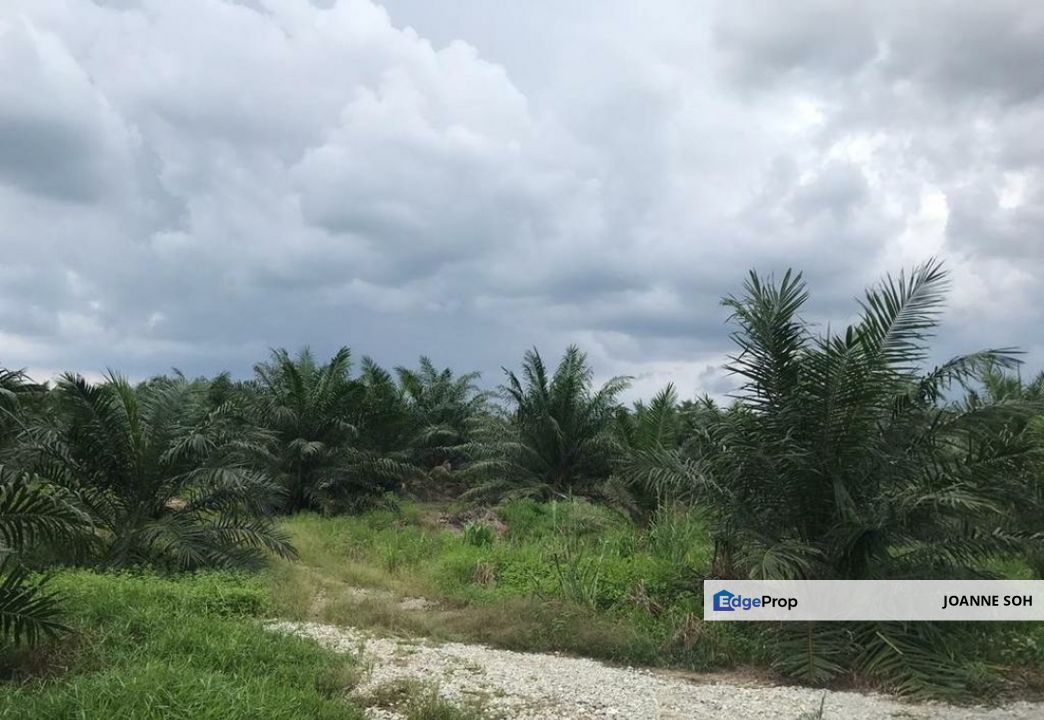 Industrial zoning agri land at Banting For Sale!!, Selangor, Banting