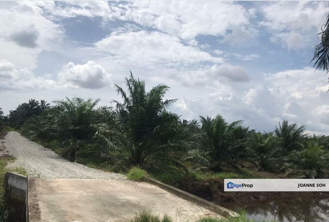 Industrial zoning agri land at Banting For Sale!!, Selangor, Banting