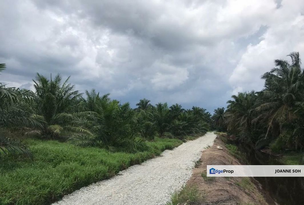 Industrial zoning agri land at Banting For Sale!!, Selangor, Banting