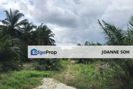 Agriculture land in industrial zoning at Banting For Sale!!, Selangor, Banting