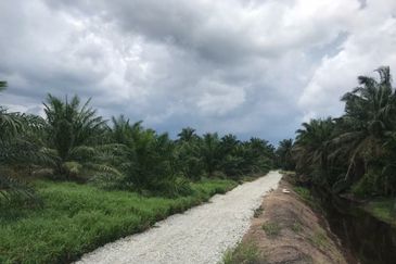 Agriculture land in industrial zoning at Banting For Sale!!