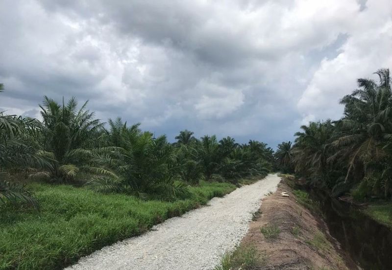 Agriculture land in industrial zoning at Banting For Sale!!