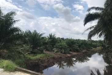 Agriculture land in industrial zoning at Banting For Sale!!