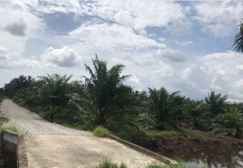 Agriculture land in industrial zoning at Banting For Sale!!