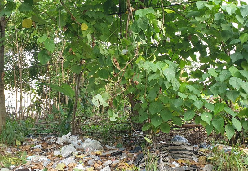 industrial zoning Agriculture Land at sungai buluh For Sale!!