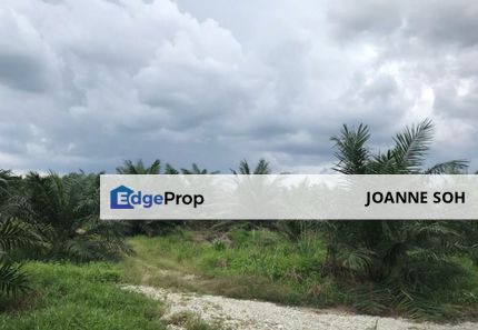 Agriculture land at Banting For Sale!!, Selangor, Banting