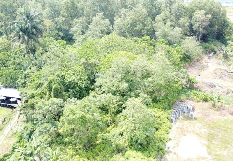 Serendah freehold agri land 9.974acres for sale