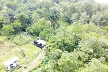 Agriculture land at serendah freehold 9.974acres for sale