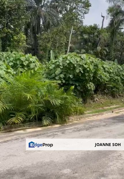 Segambut freehold agriculture flat land for sale , Kuala Lumpur, Segambut