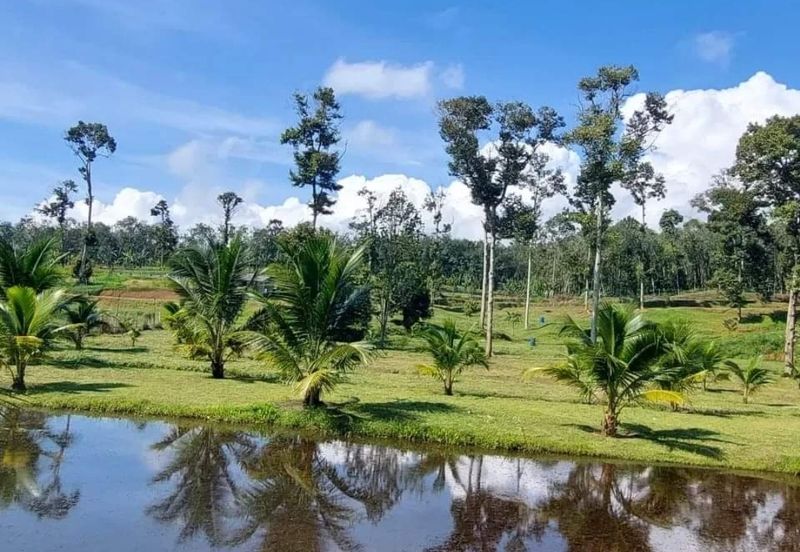 Petrol & EV station facing highway for sale 