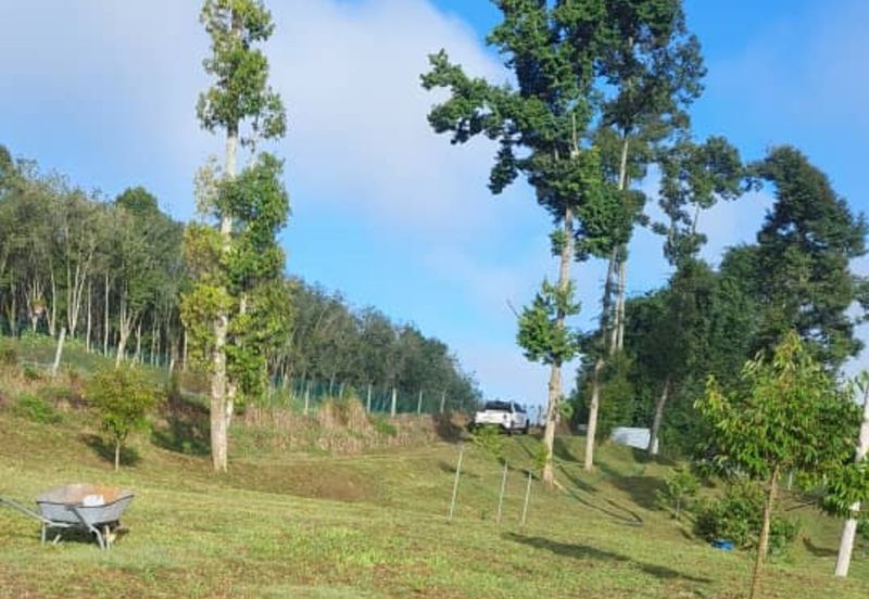 Petrol & EV station facing highway for sale 