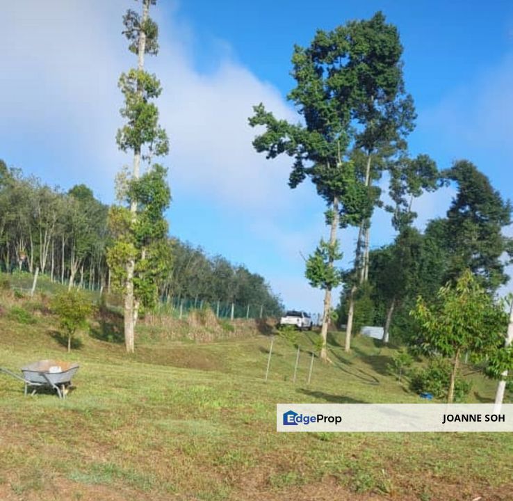 Petrol & EV station facing highway for sale , Perak, Kuala Kangsar