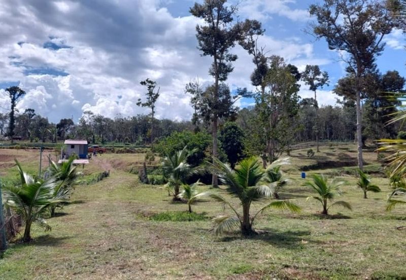 Petrol & EV station facing highway for sale 