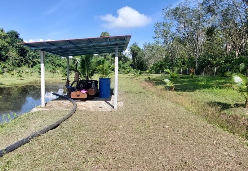 Petrol & EV station facing highway for sale 