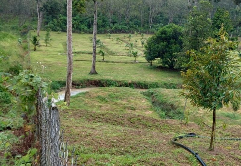 Petrol & EV station facing highway for sale 