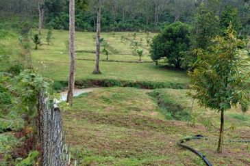 Petrol & EV station facing highway for sale 