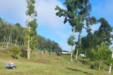 Commercial Petrol & EV station facing highway for sale 