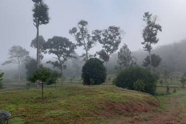 Commercial Petrol & EV station facing highway for sale 