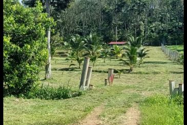 Commercial Petrol & EV station facing highway for sale 