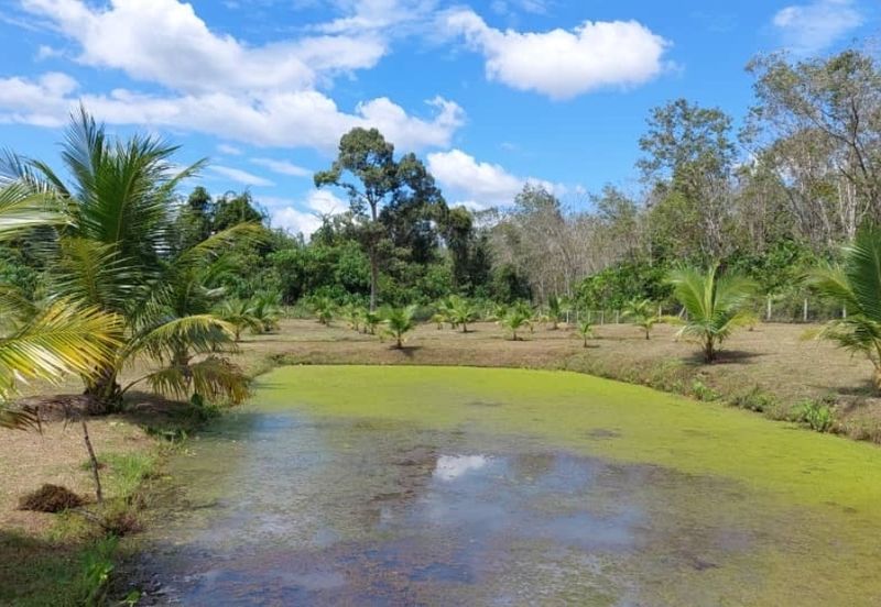 Commercial Petrol & EV station facing highway for sale 