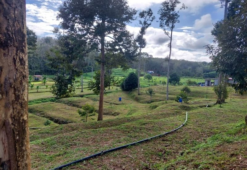 Commercial Petrol & EV station facing highway for sale 