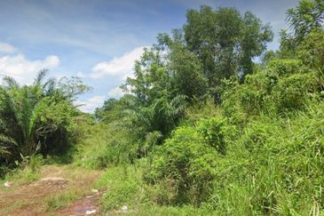Kampung Baru Sungai Buloh